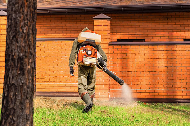 Bed Bug Clearance Verification and Documentation in Edina